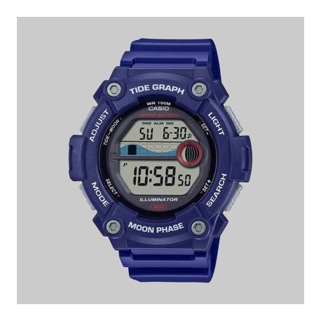 Reloj Casio WS-1300H-2AV