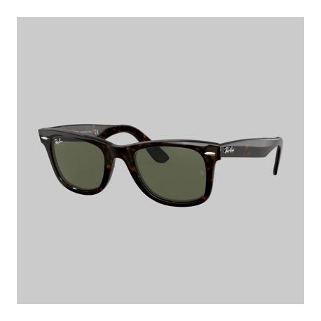 Lentes Ray Ban 0RB2190