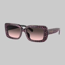 Lentes Coach 0HC8380