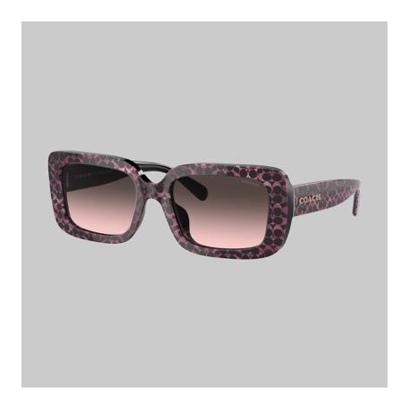 Lentes Coach 0HC8380