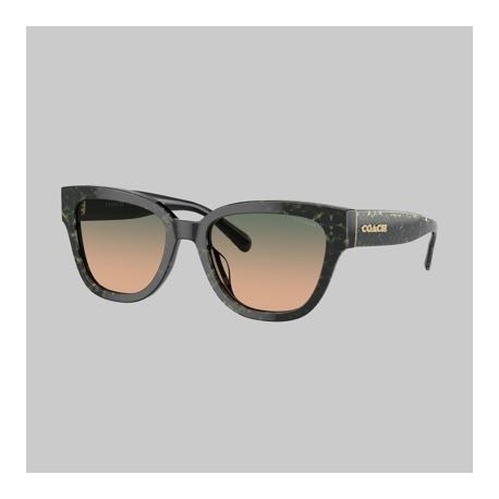 Lentes Coach 0HC8379