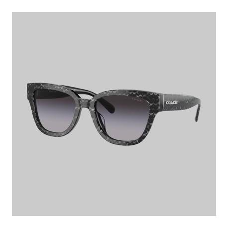 Lentes Coach 0HC8379