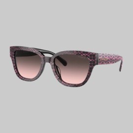 Lentes Coach 0HC8379